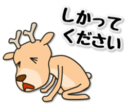 Deer 100% with horse sticker #3956852