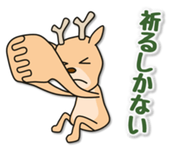 Deer 100% with horse sticker #3956866