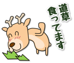 Deer 100% with horse sticker #3956885