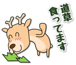 Deer 100% with horse sticker #3956885