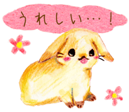huwahuwa rabbit sticker #3960274