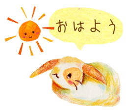 huwahuwa rabbit sticker #3960299