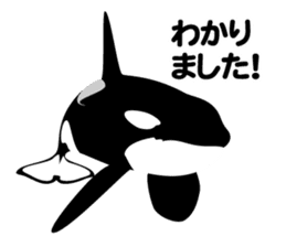 ORCAS ALL OVER!! vol.2 sticker #3961504