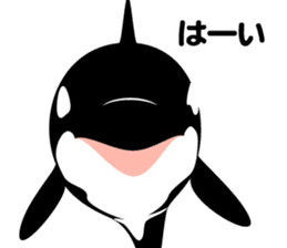 ORCAS ALL OVER!! vol.2 sticker #3961505