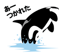 ORCAS ALL OVER!! vol.2 sticker #3961511