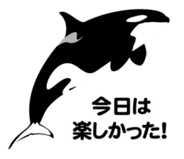 ORCAS ALL OVER!! vol.2 sticker #3961522