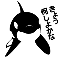 ORCAS ALL OVER!! vol.2 sticker #3961527