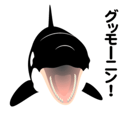 ORCAS ALL OVER!! vol.2 sticker #3961529