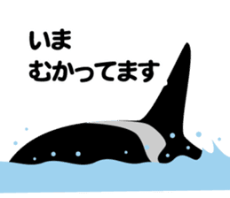 ORCAS ALL OVER!! vol.2 sticker #3961531