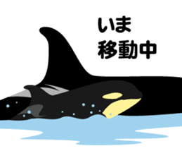 ORCAS ALL OVER!! vol.2 sticker #3961534