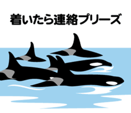 ORCAS ALL OVER!! vol.2 sticker #3961535