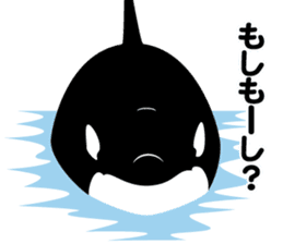 ORCAS ALL OVER!! vol.2 sticker #3961538