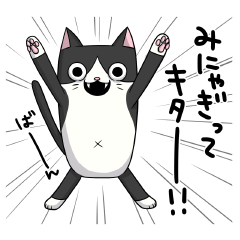 Fourth version of Taroimofu