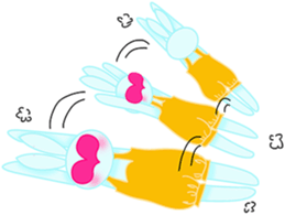 walnut planet's baby 4 sticker #3964676