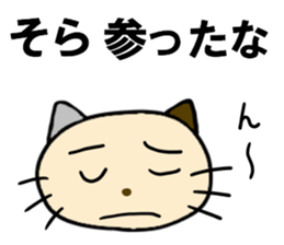 Cat for men sticker #3965691