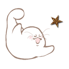 Sea lions are Todo Kimura