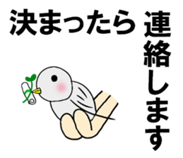 cat for men 2 sticker #3967771