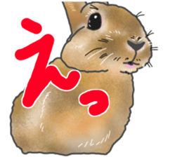 Rabbit MUGI sticker #3969503