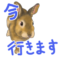 Rabbit MUGI sticker #3969504