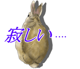 Rabbit MUGI sticker #3969506