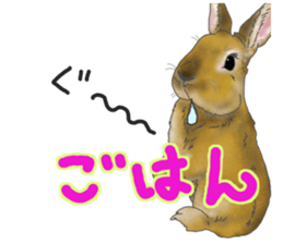Rabbit MUGI sticker #3969507