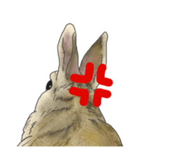 Rabbit MUGI sticker #3969509