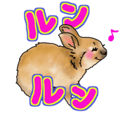 Rabbit MUGI sticker #3969512