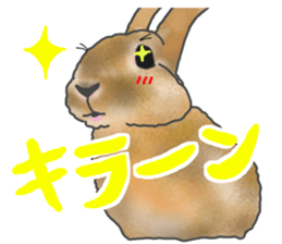 Rabbit MUGI sticker #3969513