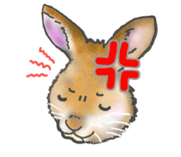 Rabbit MUGI sticker #3969520