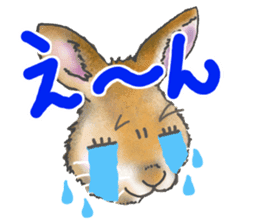 Rabbit MUGI sticker #3969523