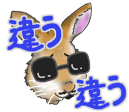 Rabbit MUGI sticker #3969525