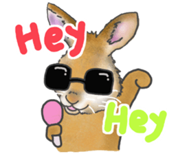 Rabbit MUGI sticker #3969527