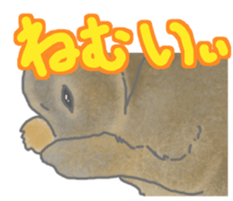 Rabbit MUGI sticker #3969540