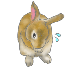 Rabbit MUGI sticker #3969541