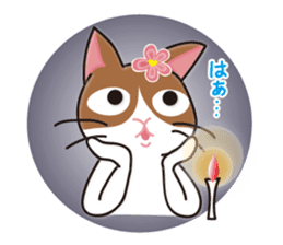 The tale of Cat zoo sticker #3972672