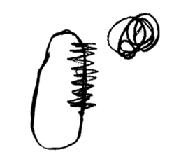 A life of rice sticker #3974149