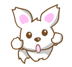 Sticker of Chihuahua. sticker #3974568
