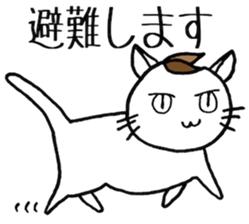 SHIRO CAT F sticker #3974826