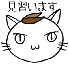 SHIRO CAT F sticker #3974829