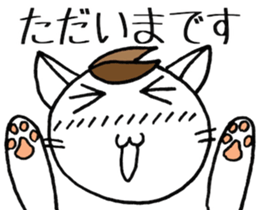 SHIRO CAT F sticker #3974833