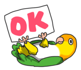 Pionites leucogaster&Black-headed Caique sticker #3978567