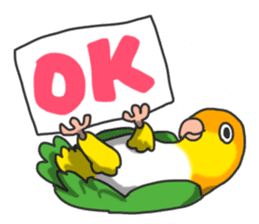 Pionites leucogaster&Black-headed Caique sticker #3978567