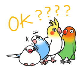 Pionites leucogaster&Black-headed Caique sticker #3978569