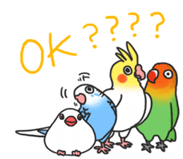 Pionites leucogaster&Black-headed Caique sticker #3978569