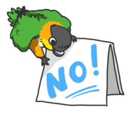 Pionites leucogaster&Black-headed Caique sticker #3978571