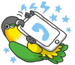 Pionites leucogaster&Black-headed Caique sticker #3978576