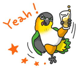 Pionites leucogaster&Black-headed Caique sticker #3978580