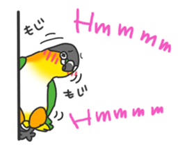 Pionites leucogaster&Black-headed Caique sticker #3978582