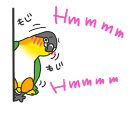 Pionites leucogaster&Black-headed Caique sticker #3978582