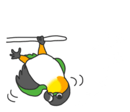 Pionites leucogaster&Black-headed Caique sticker #3978590